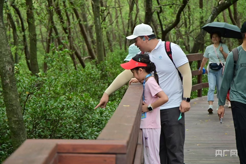 湿地成为广东自然教育新课堂九游会登录j9入口红树林(图3)